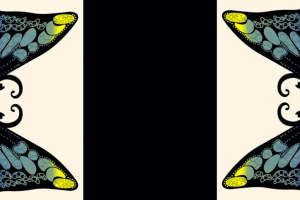 时尚对称蝴蝶纹样 高端面料印花设计素材