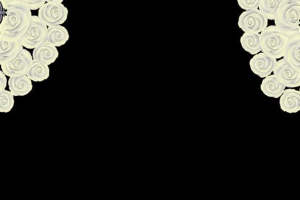 高端面料印花素材 黑白玫瑰对称设计服装印花