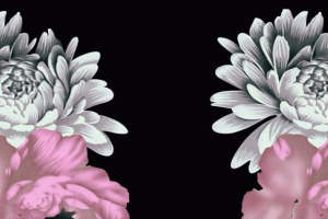 高端面料印花素材：优雅花卉图案适用于服装定制