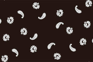 复古佩斯利花纹 经典面料印花素材 适用于服装印花设计