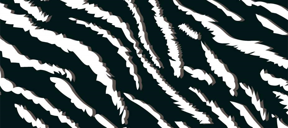 经典斑马纹面料印花素材 时尚服装印花设计必备