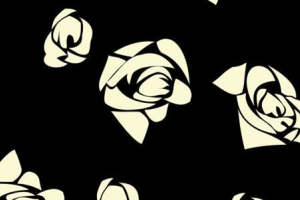 时尚黑白玫瑰面料印花素材 服装印花设计首选