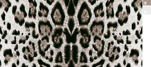 经典豹纹面料印花 时尚服装印花素材推荐