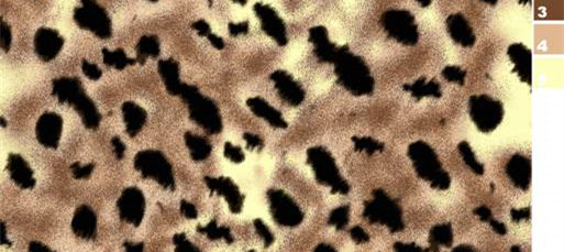 时尚豹纹面料印花设计,打造独特服装风格