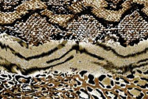 时尚动物纹理面料印花素材，打造个性服装印花设计