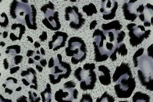 高级质感豹纹面料印花素材 服装印花设计必备