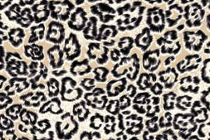 经典豹纹面料印花素材 适用于高端服装印花设计