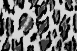 时尚黑白豹纹面料印花素材，适用于服装印花设计