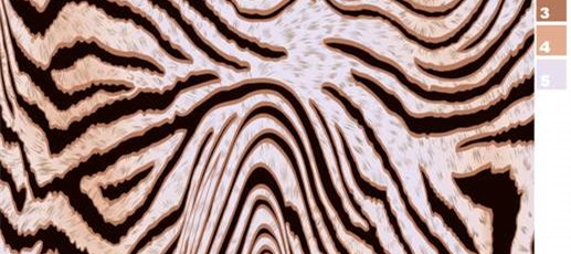 自然斑马纹面料印花素材