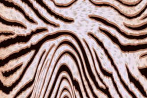 自然斑马纹面料印花素材