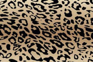 经典豹纹面料印花素材 打造野性风服装印花设计