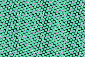 清新绿圆底花卉图案 夏季服装印花素材推荐