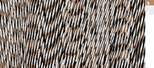 复古斜纹面料印花素材 时尚服装印花设计灵感