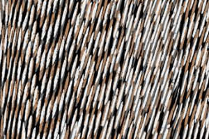 复古斜纹面料印花素材 时尚服装印花设计灵感