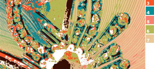 抽象花卉面料印花素材 时尚服装印花设计灵感