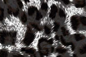 时尚豹纹面料印花素材 高端服装印花设计灵感