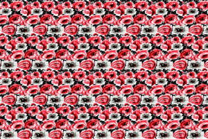 复古红白花卉面料印花素材