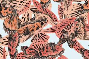 艺术蝴蝶图案服装印花素材，时尚面料设计灵感