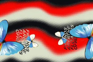 潮流蓝蝶喷绘面料印花 时尚服装印花素材推荐