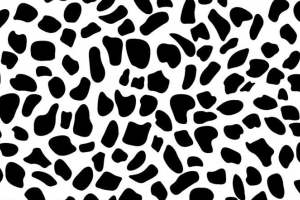 时尚奶牛纹面料印花素材 服装印花设计必备