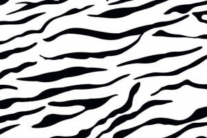 经典斑马纹面料印花 时尚服装印花设计素材