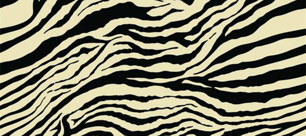 经典斑马纹面料印花素材 时尚服装印花设计灵感