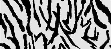 经典斑马纹面料印花素材,打造个性服装印花设计