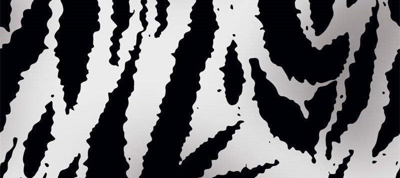 经典斑马纹服装印花素材 时尚面料设计灵感