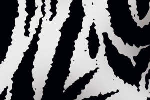 经典斑马纹服装印花素材 时尚面料设计灵感