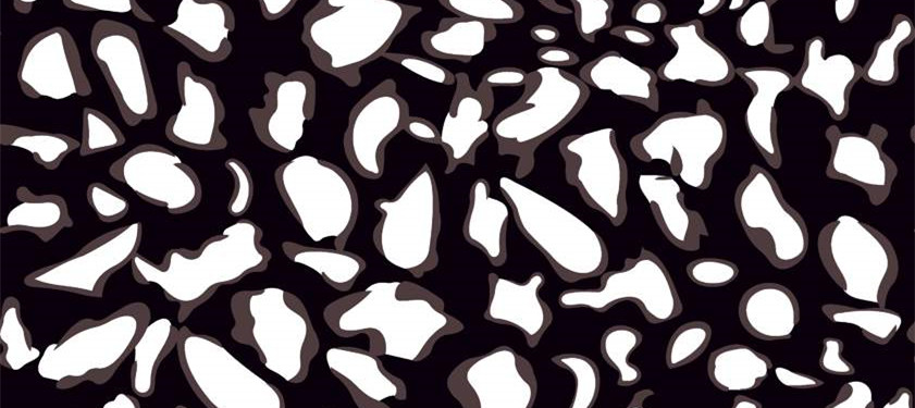 时尚黑白豹纹面料印花素材 服装印花设计灵感