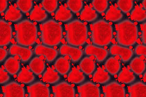 复古红玫瑰面料印花素材 时尚服装印花设计灵感