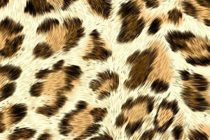 野性豹纹面料印花素材 时尚服装印花设计灵感