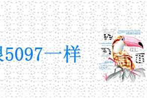 潮流巨嘴鸟图案面料印花素材