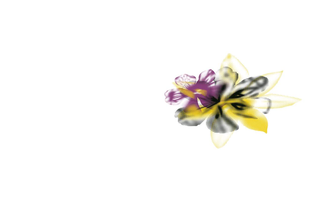 时尚花卉面料印花素材,打造独特服装图案