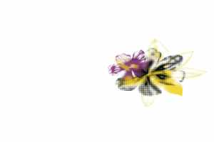 时尚花卉面料印花素材，打造独特服装图案