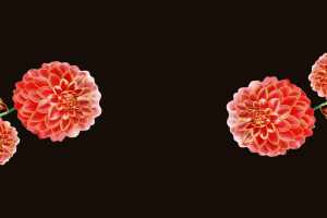 复古红金花卉面料印花素材 高端服装印花设计